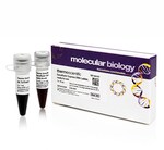 GeneRuler Express DNA 分子量标准，即用型