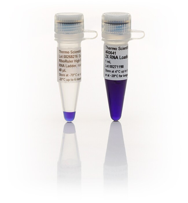 RiboRuler High Range RNA Ladder, ready-to-use