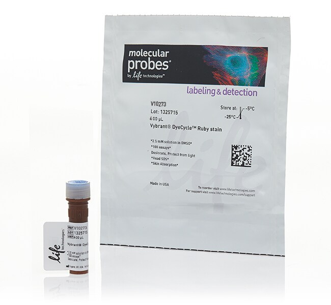 Vybrant&trade; DyeCycle&trade; Ruby 染色剂，400 次反应