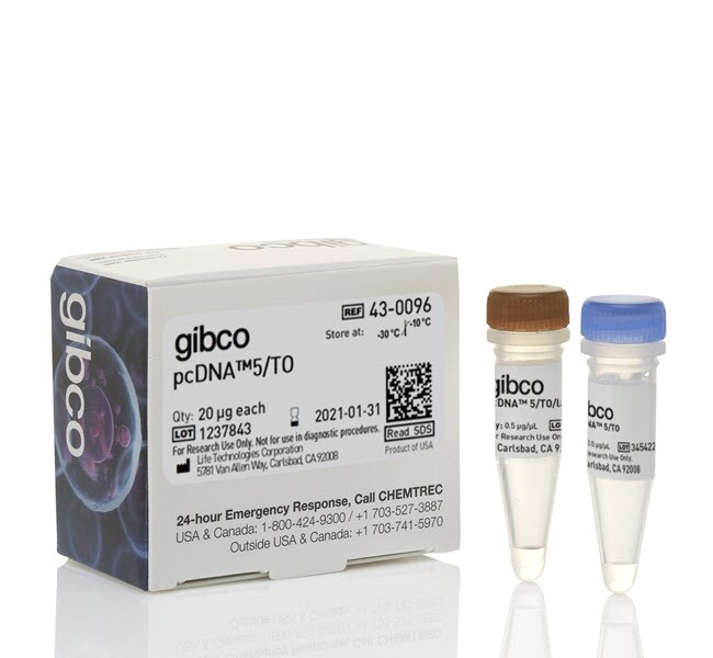 pcDNA&trade;5/TO 哺乳动物表达载体