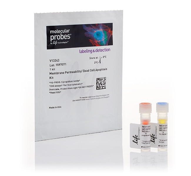 用于对凋亡和坏死细胞染色的 Vybrant&trade; 细胞凋亡检测试剂盒