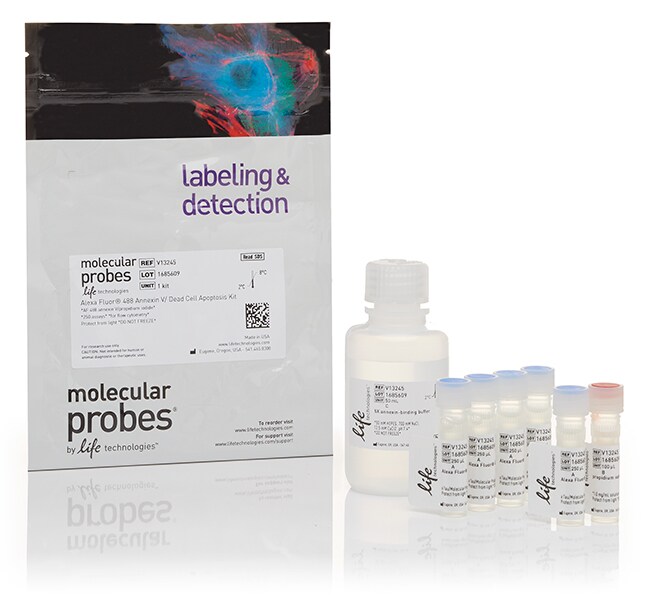 Dead Cell Apoptosis Kits with Annexin V for Flow Cytometry