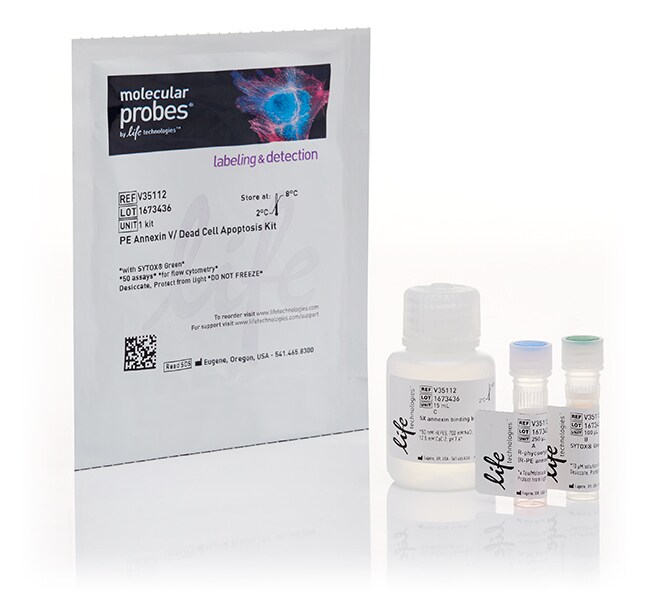 用于进行流式细胞分析的含 Annexin V 的死细胞凋亡试剂盒
