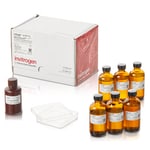 WesternBreeze&trade; 发色试剂盒，抗兔