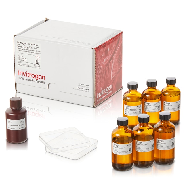 WesternBreeze&trade; 发色试剂盒，抗兔