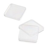 WesternBreeze&trade; 发色试剂盒，抗兔