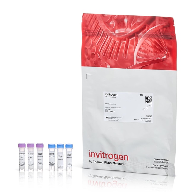 Zip Alexa Fluor&trade; Rapid Antibody Labeling Kits