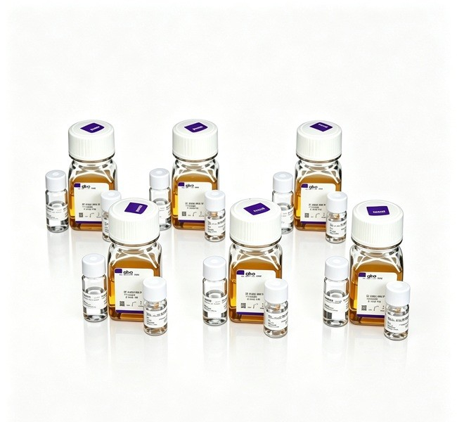 Expi293 Flex Expression Medium