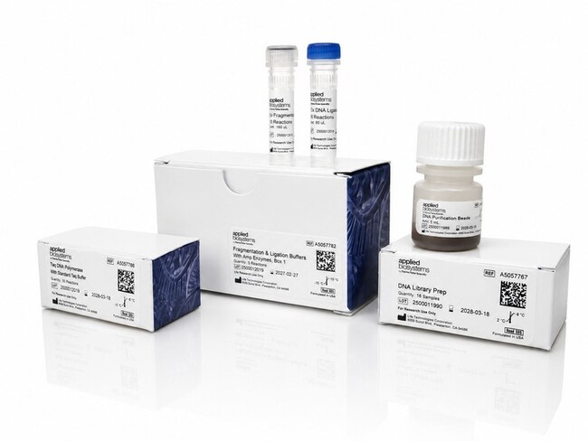 Enzymatic Fragmentation DNA Library Preparation with Amp Mix
