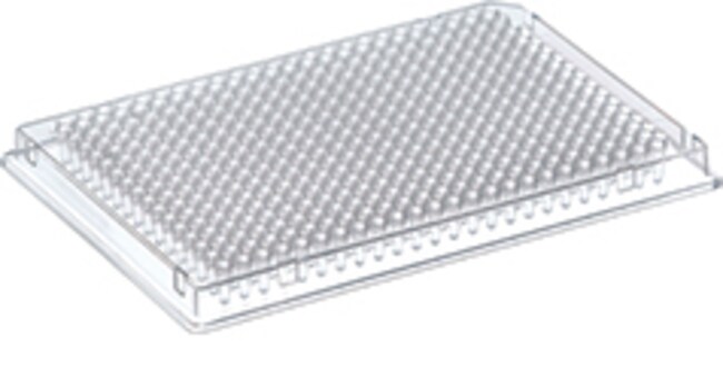 PCR Plate, 384-well, raised chimney