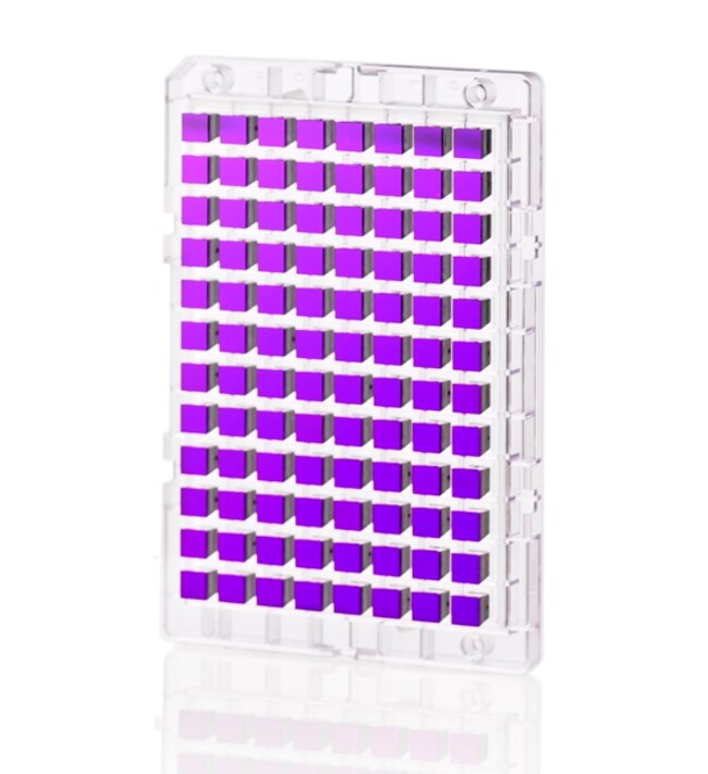 GeneChip&trade; miRNA 4.1 Array Plate