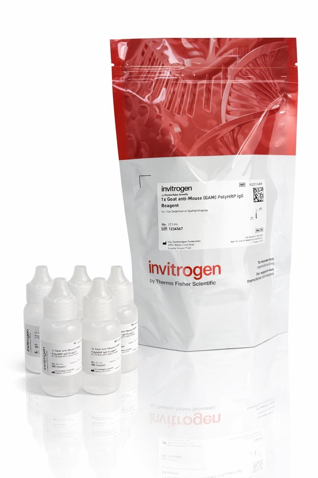 Aluora™ Spatial Amplification Reagent Components