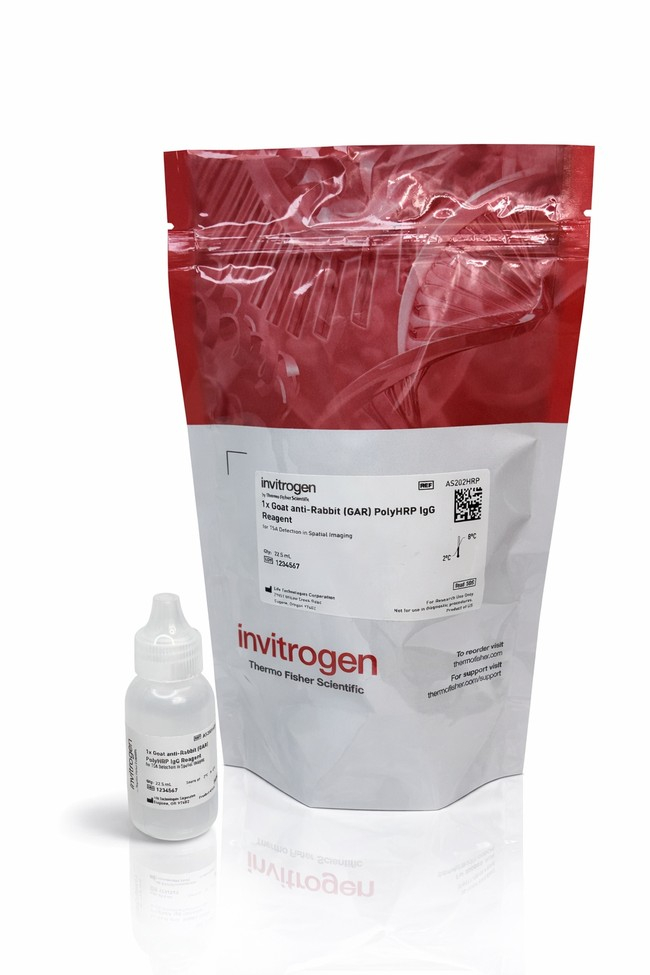 Aluora™ Spatial Amplification Reagent Components