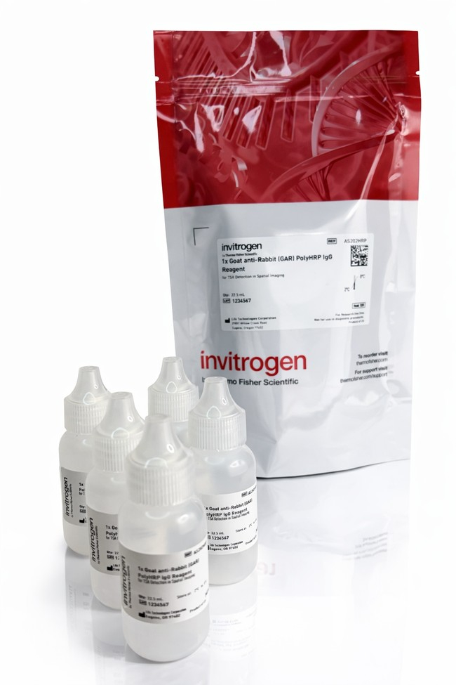 Aluora™ Spatial Amplification Reagent Components