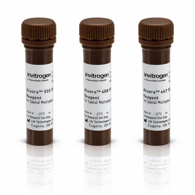 Aluora™ Spatial Amplification Multiplex Dye Kit