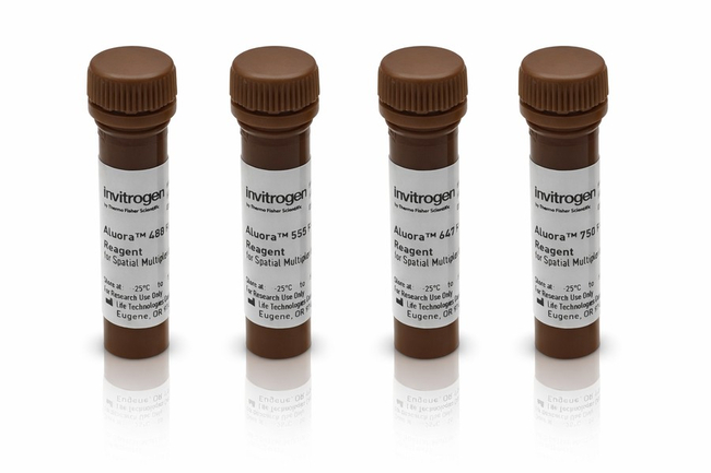 Aluora™ Spatial Amplification Multiplex Dye Kit