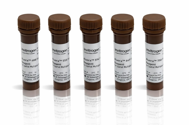Aluora™ Spatial Amplification Multiplex Dye Kit