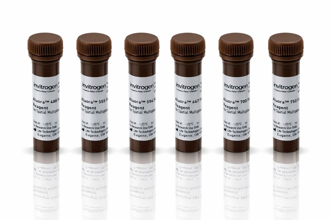 Aluora™ Spatial Amplification Multiplex Dye Kit