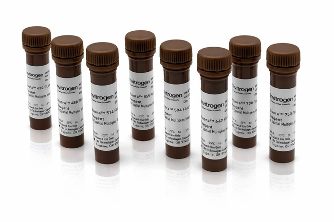 Aluora™ Spatial Amplification Multiplex Dye Kit
