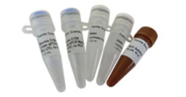 Maxima SYBR Green qPCR 预混液 (2X)，带单独的 ROX 瓶