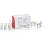 Qubit NGS Library Quantification Assay Kit