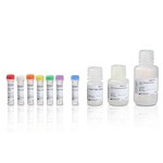 Qubit NGS Library Quantification Assay Kit