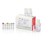 Qubit NGS Library Quantification Assay Kit