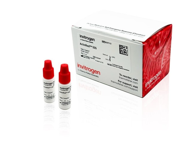 ReadyProbes™ Reagent F-Actin Phalloidin Conjugates