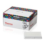 Pierce&trade; NeutrAvidin&trade; 包被板，透明，8 孔联排