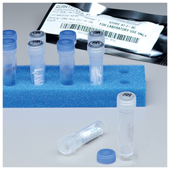 WaterBugs&trade; 阴沟肠杆菌阴沟亚种 ATCC&trade; 13047&trade;