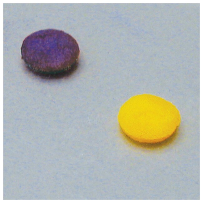 &beta;-内酰胺纸片