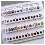 Oxoid&trade; Microbact&trade; 葡萄球菌 12S 试剂盒