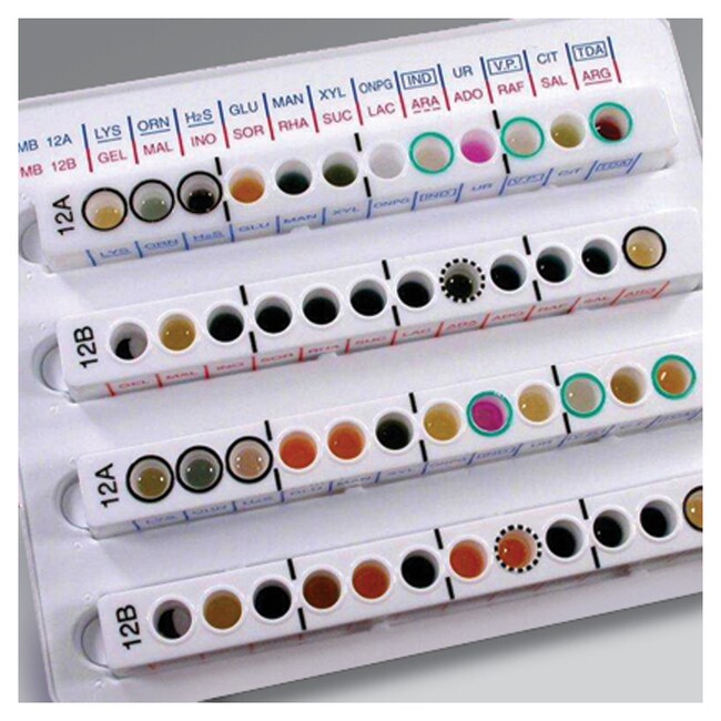 Oxoid&trade; Microbact&trade; 软件程序