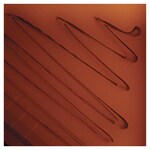 Culti-Loops&trade; 无乳链球菌 ATCC&trade; 12401&trade;