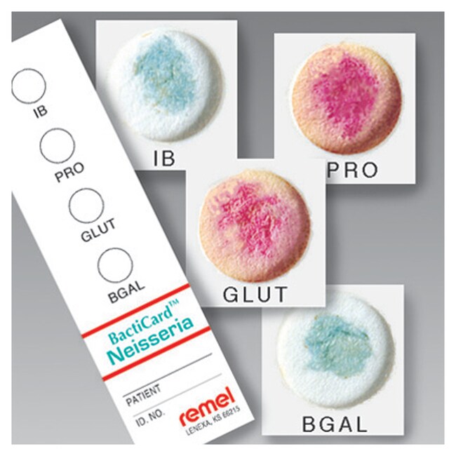 Remel&trade; BactiCard&trade; 奈瑟菌