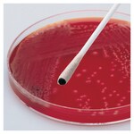 Remel&trade; Oxy-Swab&trade;