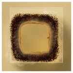 Culti-Loops&trade; 巴西曲霉 ATCC&trade; 16404&trade;