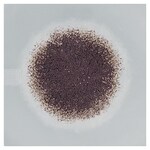 Culti-Loops&trade; 巴西曲霉 ATCC&trade; 16404&trade;