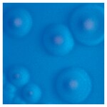 Culti-Loops&trade; 大肠杆菌 ATCC&trade; 25922&trade;