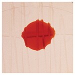 Quanti-Cult Plus&trade; Streptococcus pyogenes ATCC&trade; 19615&trade;