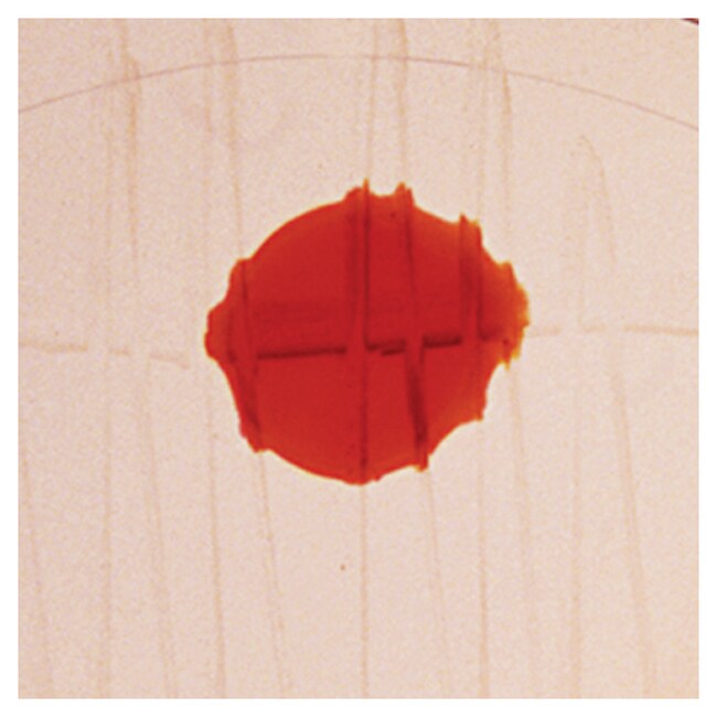 Quanti-Cult Plus&trade; Streptococcus pyogenes ATCC&trade; 19615&trade;