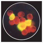 Remel&trade; PathoDX&trade; 呼吸道病毒检测板 RSV 试剂