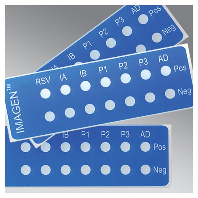 Oxoid&trade; IMAGEN&trade; 呼吸道病毒过筛检测试剂盒阳性对照玻片
