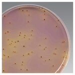 K-F Streptococcus Agar (Dehydrated)
