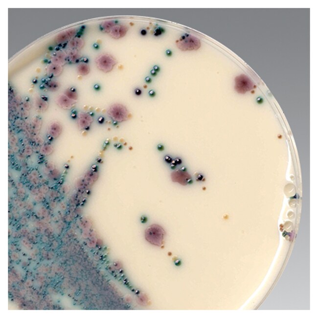 Brilliance 念珠菌选择性添加剂