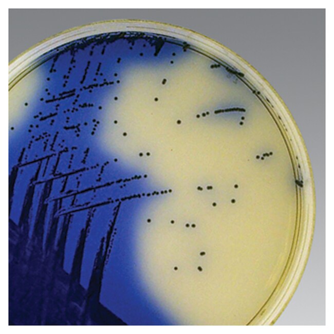 Oxoid&trade; ORSAB 选择性添加剂