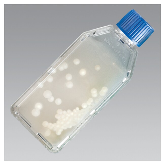 马铃薯薄片琼脂 Bactiflask&trade;