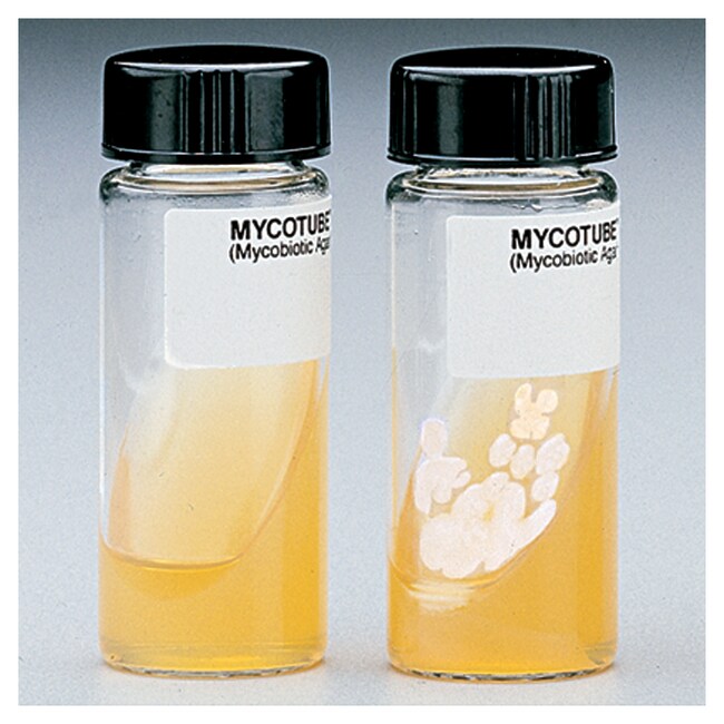 Remel™ 含氯霉素、环己酰亚胺 MycoTube(Mycobiotic 琼脂)