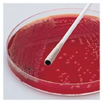 Remel&trade; Oxy-Swab&trade;