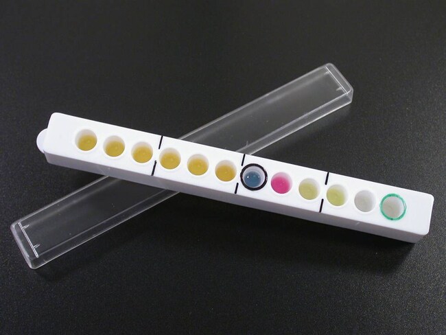 Oxoid&trade; Microbact&trade; 葡萄球菌 12S 试剂盒